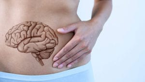the brain and gut connection