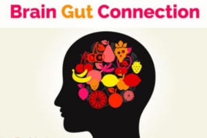 connection between brain and gut