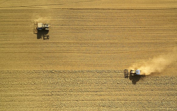 what is the slow food movement?