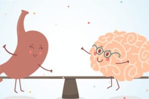 connection with gut and brain